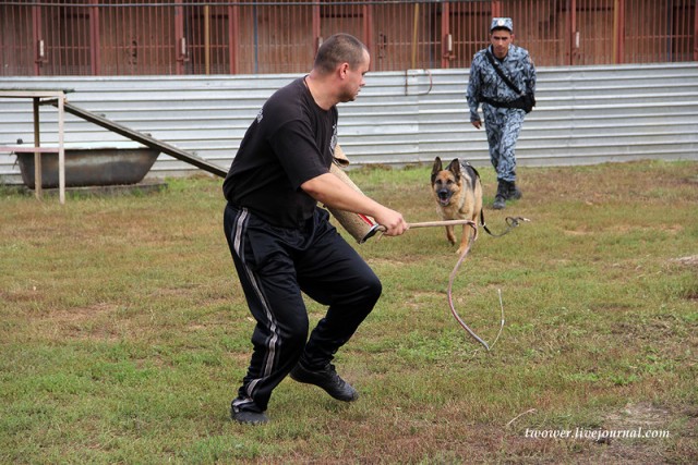 Центр кинологической службы Упр-ния на транспорте