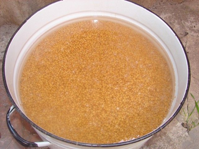 Водка пшеничная