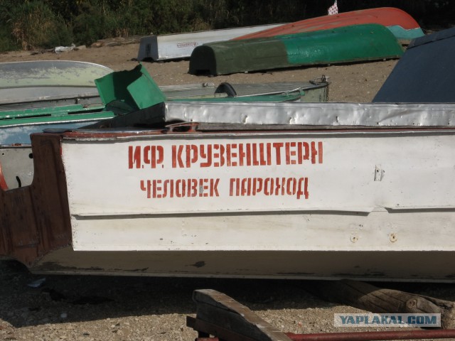 Жизнь как она есть...