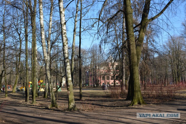 Из Новосиба в Питер, очень коротко