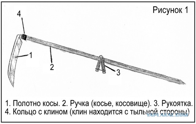 Подборка картинок 20.02.16