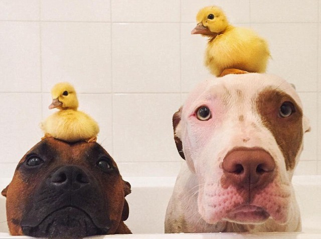 Красивые фото