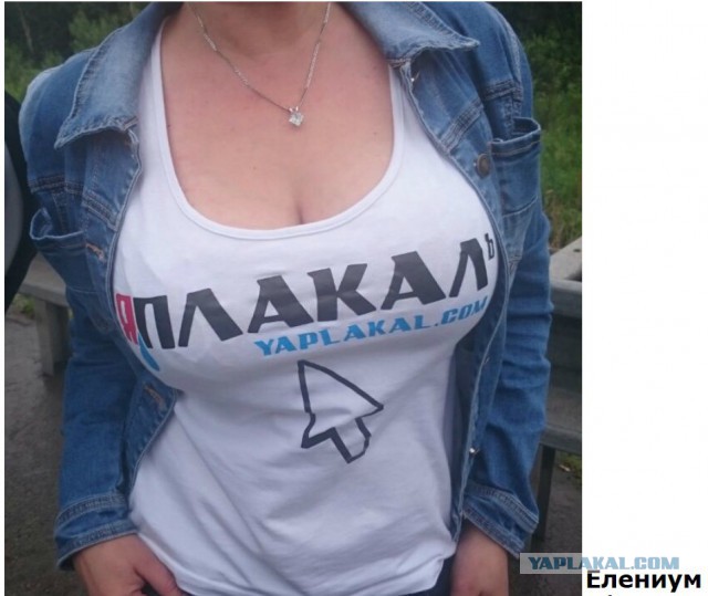 Электрошашлык party