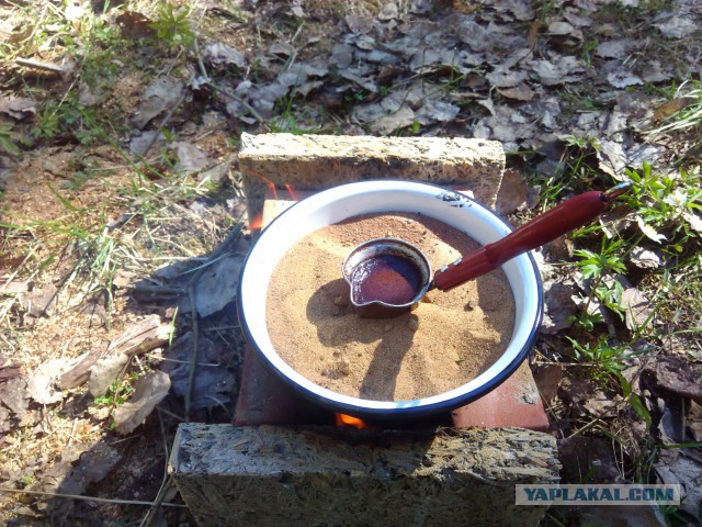 Следственный эксперимент с шашлыком