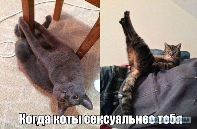 Подборка картинок и демотиваторов