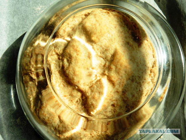 Мировая кулинария. День повара