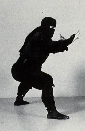 Кто такие ниндзя? (46 фоток)