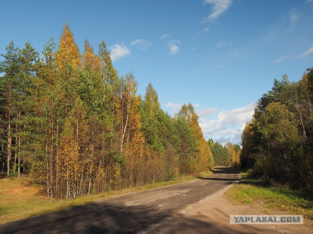 Деревня Девкино. Боровичский район Новгородской области. Фотоподборка.