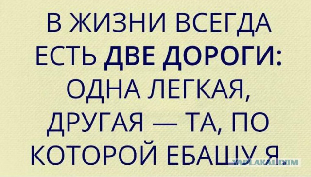 49 забавных картинок