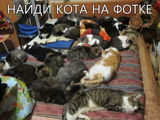 Котэ и кровать
