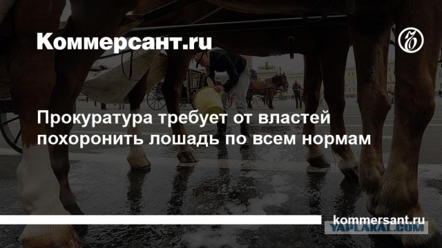 Собчак заявила, что пришло время перезахоронить Сталина.
