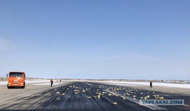 В Якутске из вылетавшего самолета АН-12 просыпалось золото. На борту его было больше чем на 21 миллиард