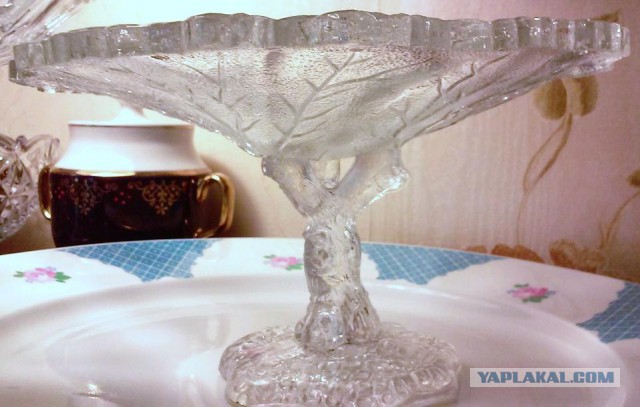 Кот-долбо*б - горе в семье