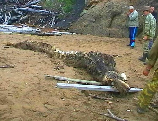 Необъяснимые явления