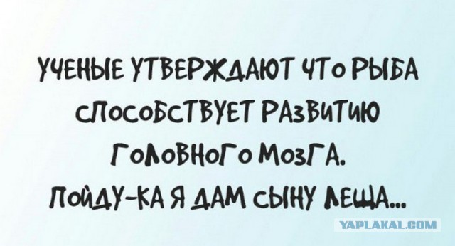 Дошутился?