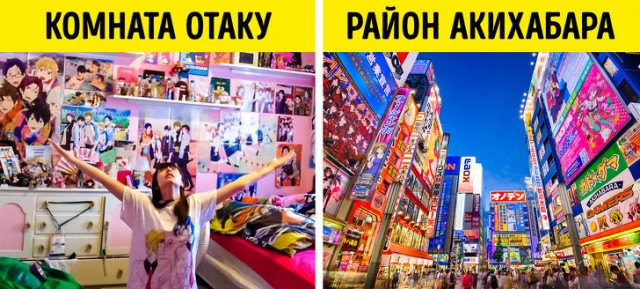 Ситуации, которые могли произойти только в Японии