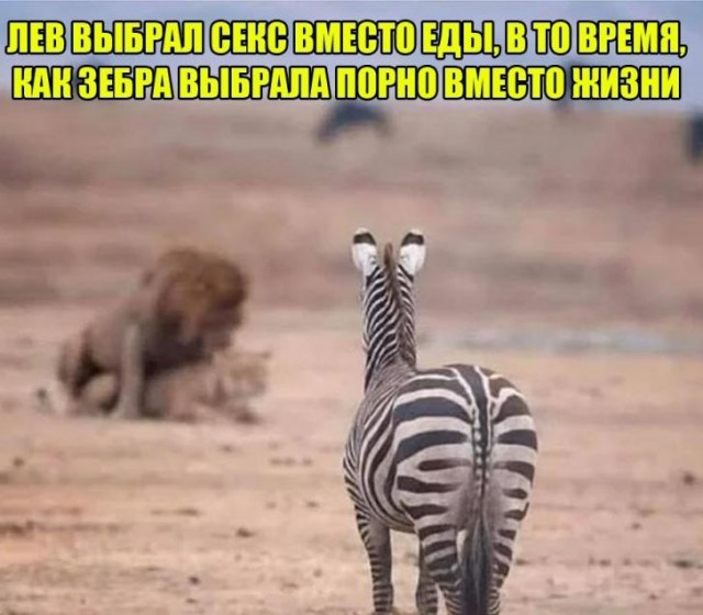 Бредзона 03.12.20