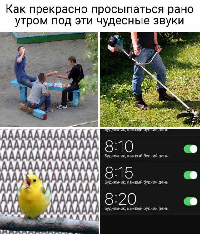 Картинки разные 24.03.2021