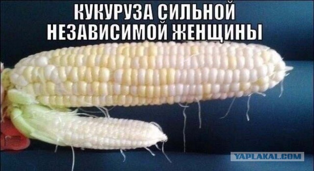 Почему многие женщины к 30-и уже в разводе?