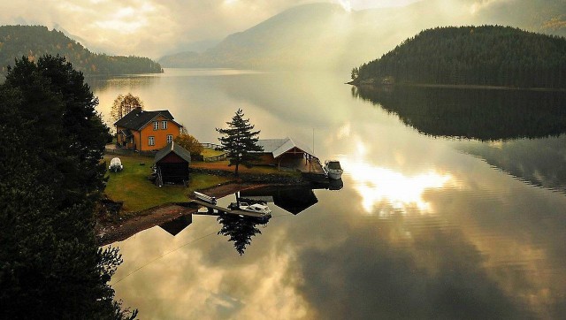 "Где вы берете еду?" Интернет-пользователи на Западе смакуют гигант-человейник в Кудрово