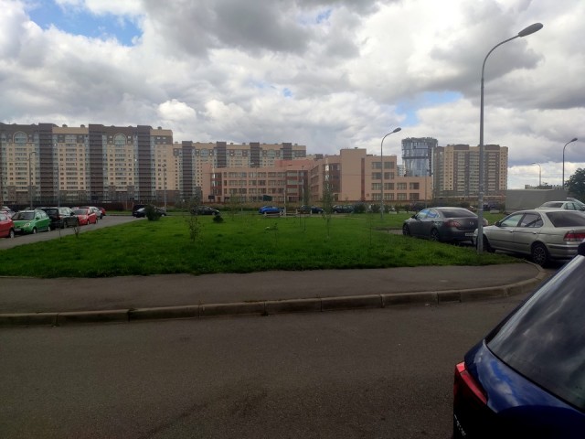 Свежая зелень