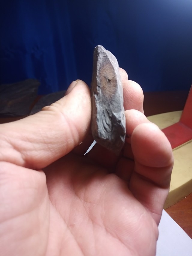 Вдогонку яйцу дракона