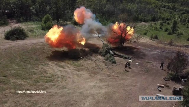По 40, залпом, 300-30-3!