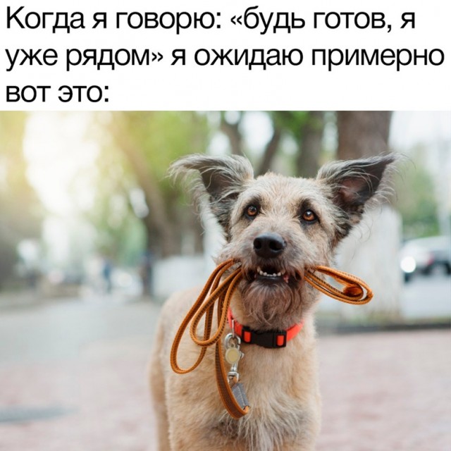 Картинки и мемы - "Жить, как говорится, хорошо..."