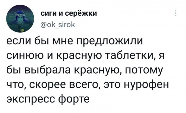 Весёлый полтишок 01.09.22