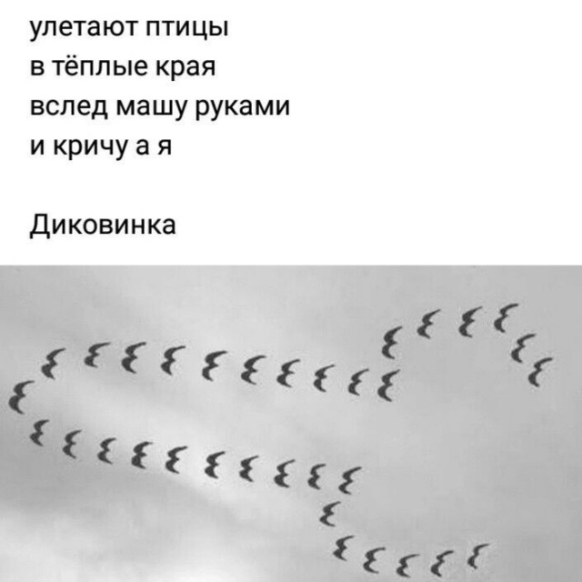 Юмор в картинках и без