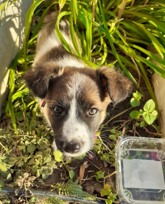 Тихон Сергеич