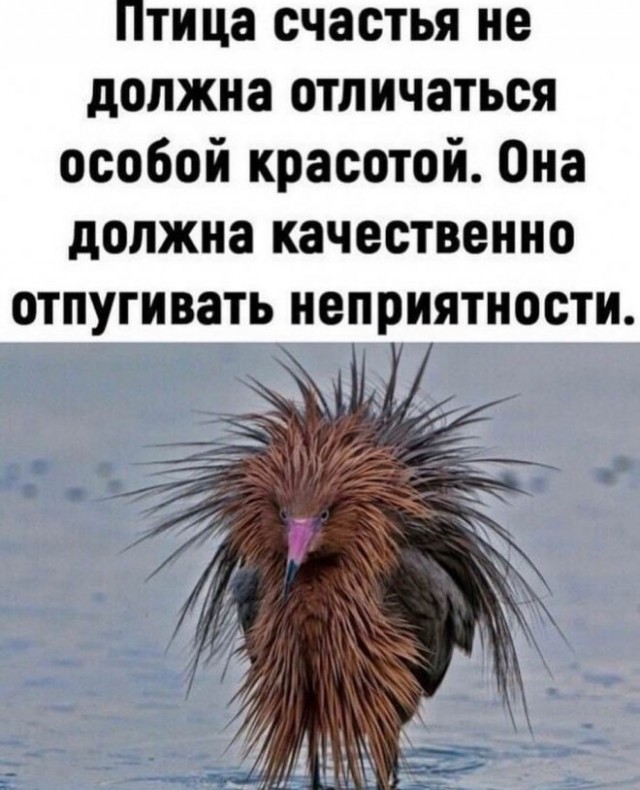 Немного картинок для настроения - 137