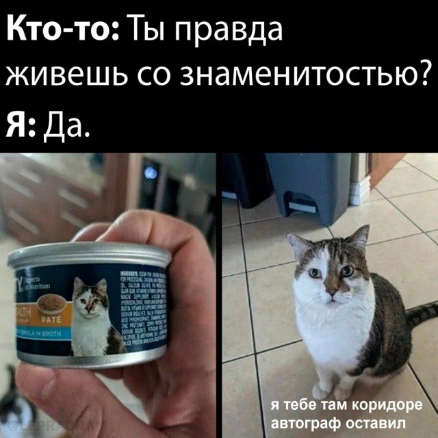 40 пятничных картинок 16.06.2023