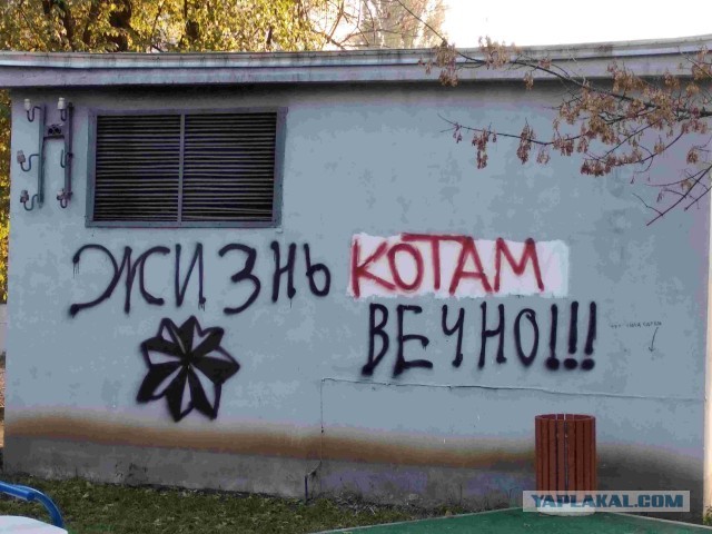 Из жизни "авторитетов"...