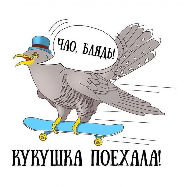 Мужчина открыл огонь по людям и автомобилям на трассе М-5 в Рязанской области