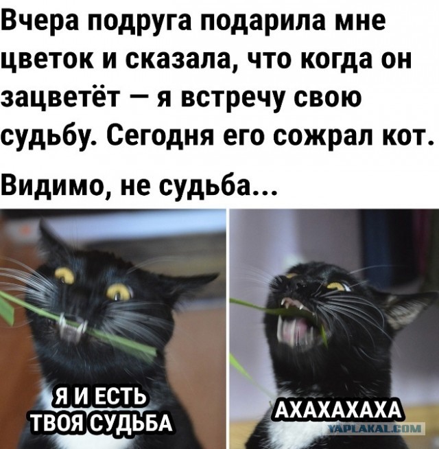 После 45 к женщинам надо как можно нежнее