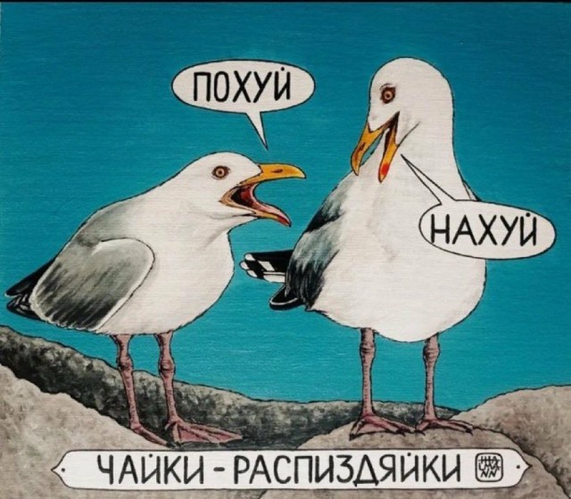 Так себе картинки 17.04.24