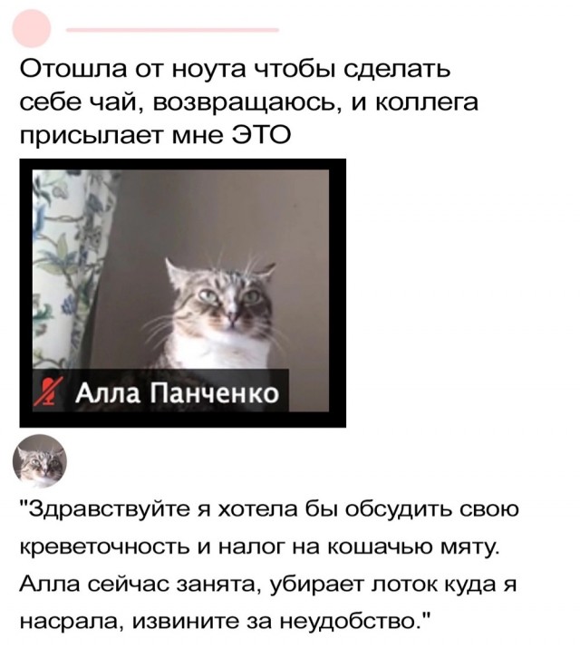 Завалялось тут случайно немного забавных картинок