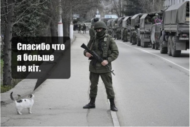 Кот СМСка
