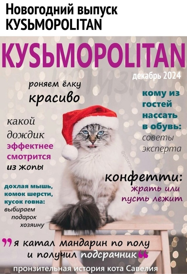 Прикольные и просто красивые картинки 31.12.2024