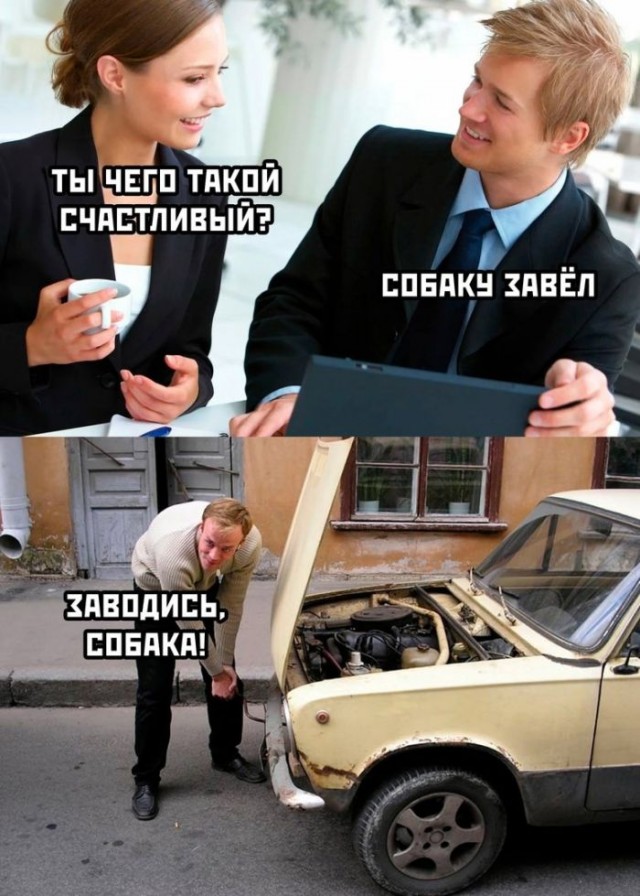 Веселые картинки в понедельник (10.02)