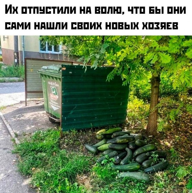 Немного картинкафф для настроения (баяны-перебаяны)