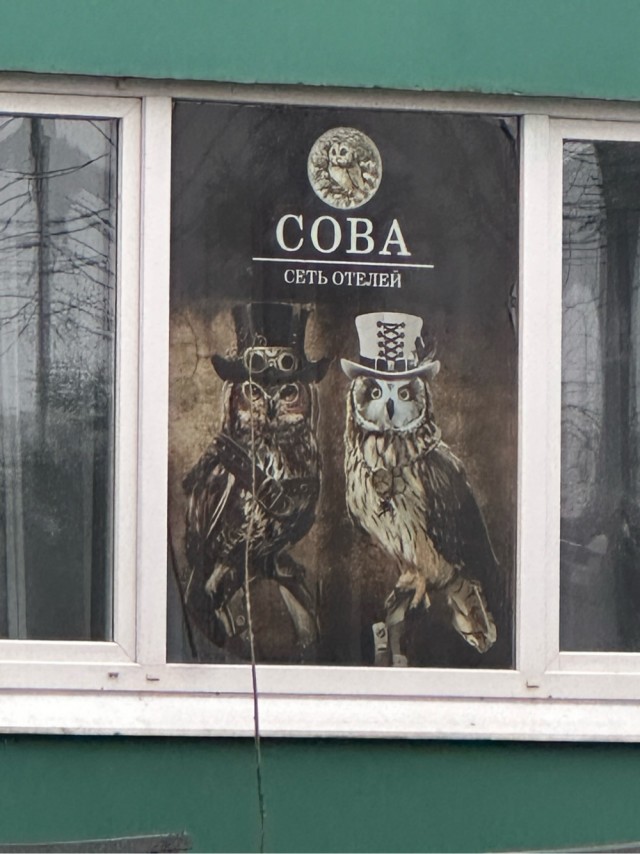 Где живет Сова?!