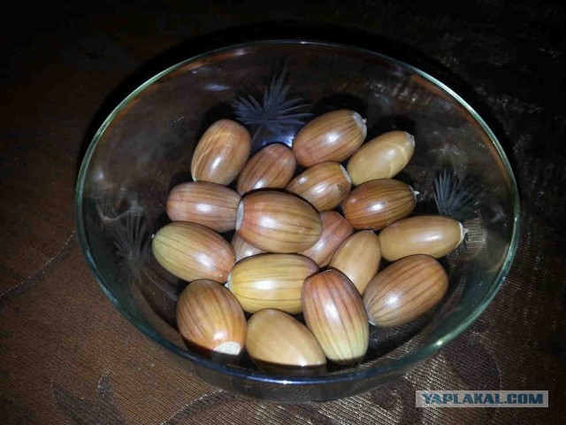 Пушкинский дуб