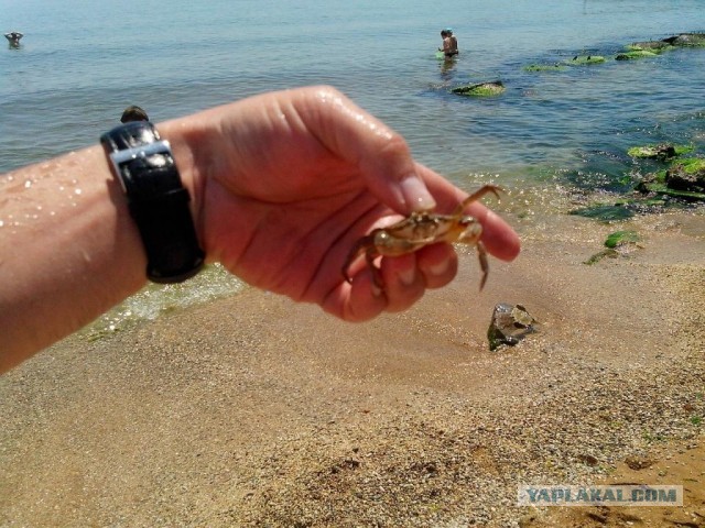 Как мы в Крым катались