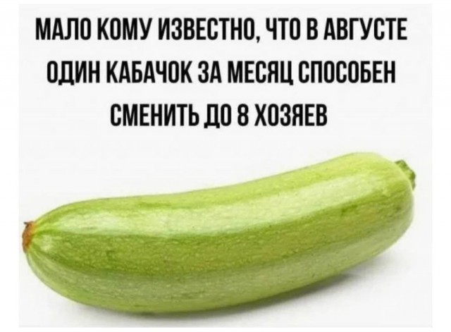 Август - это ещё не осень! (Околоавгустовская подборка)