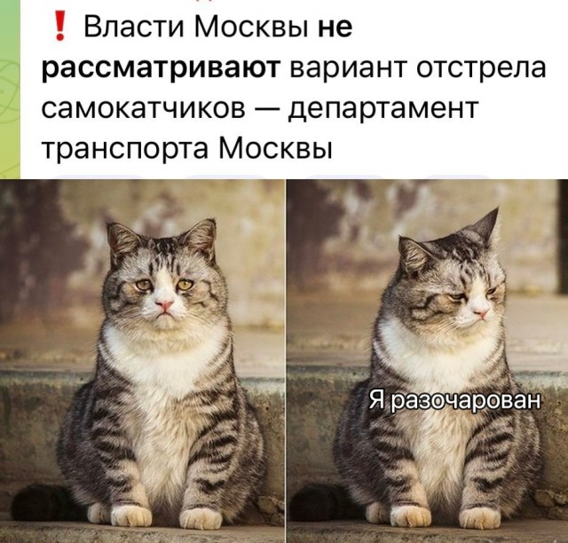 Уверенно так заворачивал, весь в мечтах.