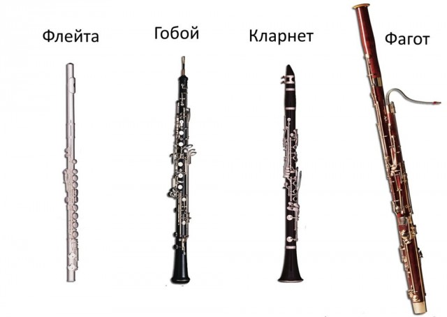 Вспомнила или что?