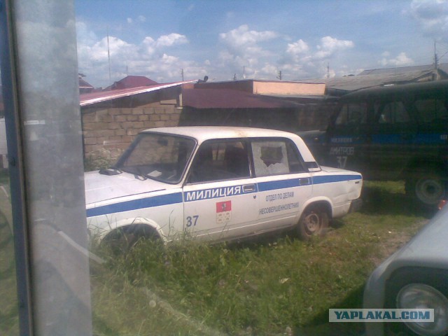 Решил выложить свои приколы