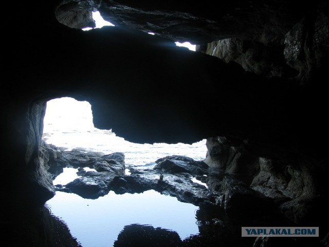 Природа Приморского края